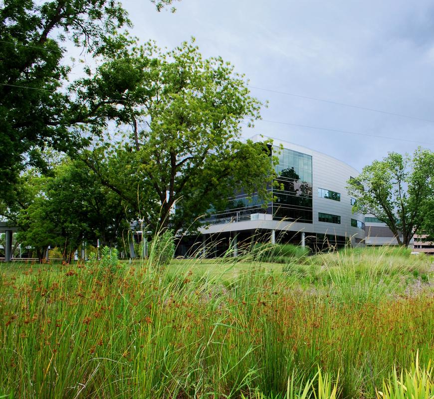 CenturyLink’s world-class tech campus is integrated within its natural environment. 