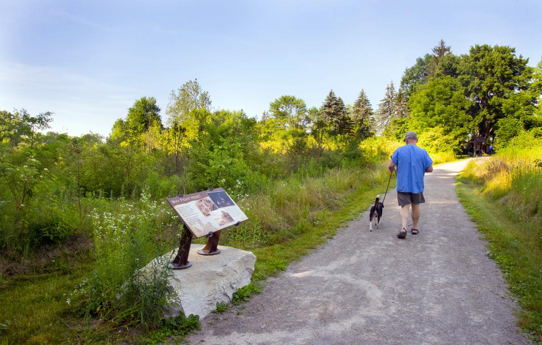 Man walks his dog along a trail at the historic Fallen Timbers Battlefield and Visitors Center. 