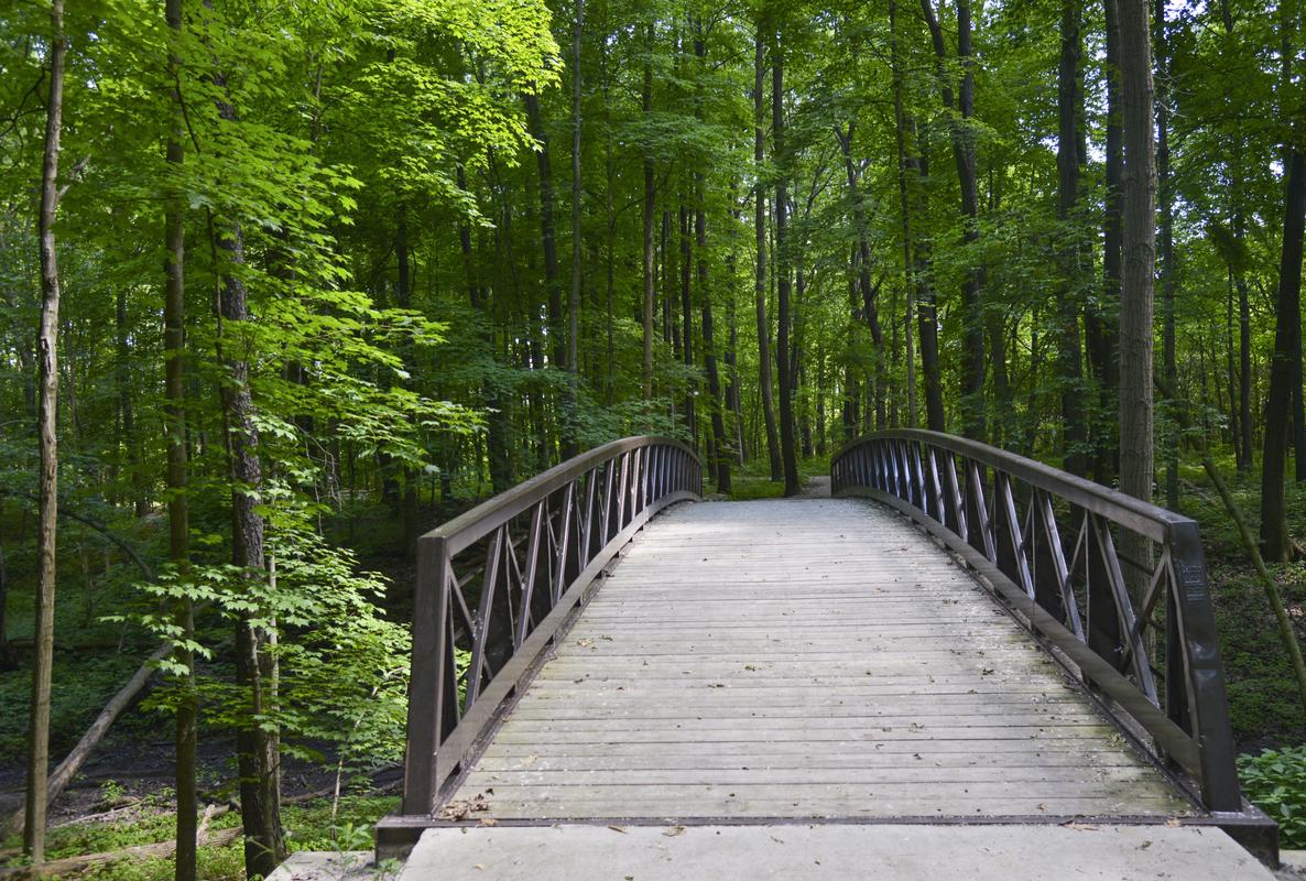 Wooden bridge in the lush forest at Fallen Timbers Battlefield in Toledo Metroparks. 