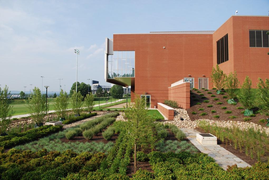 rain garden at Penn State Rec Center