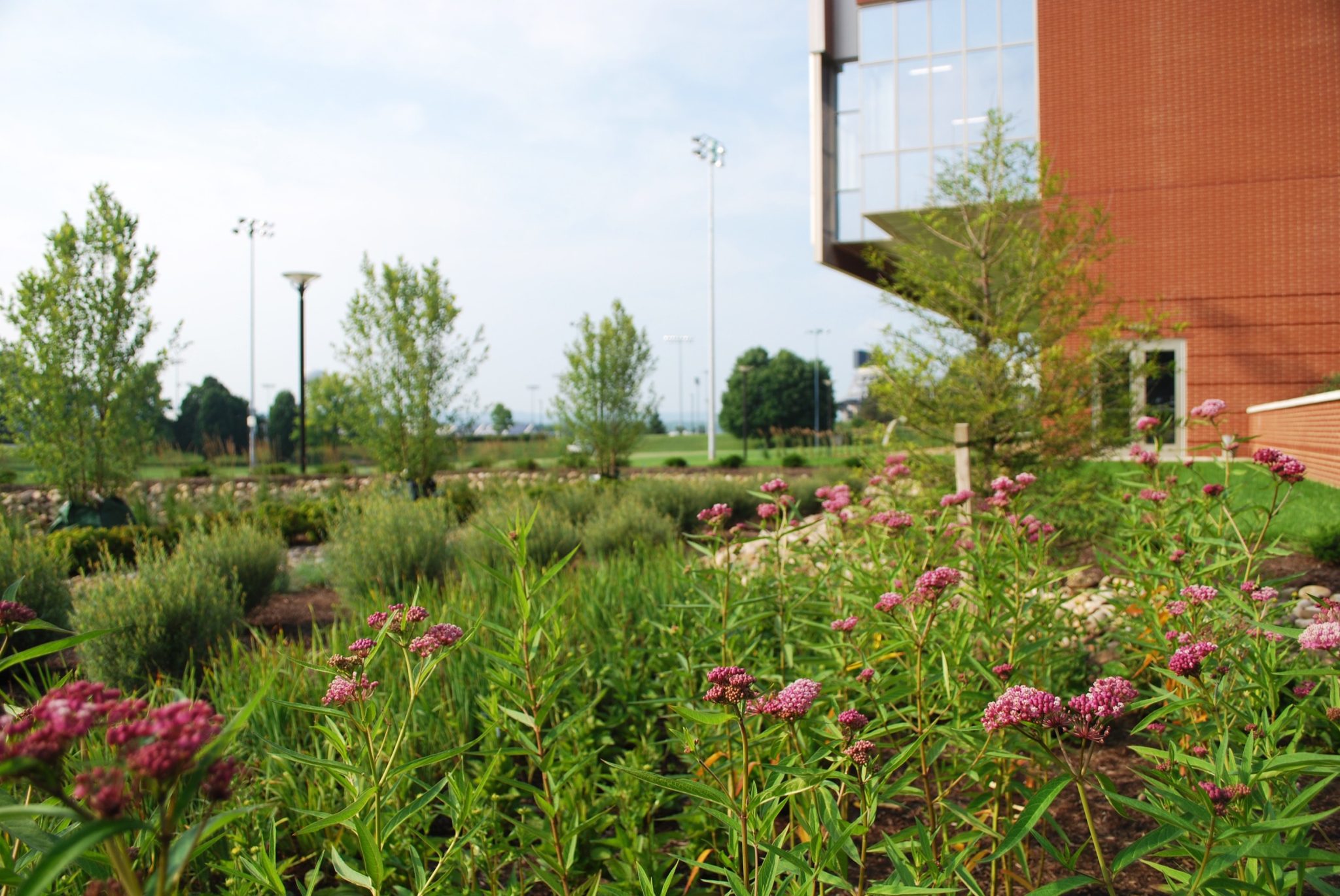 penn-state-landscape-architecture-edge-0526-2048x1371.jpg