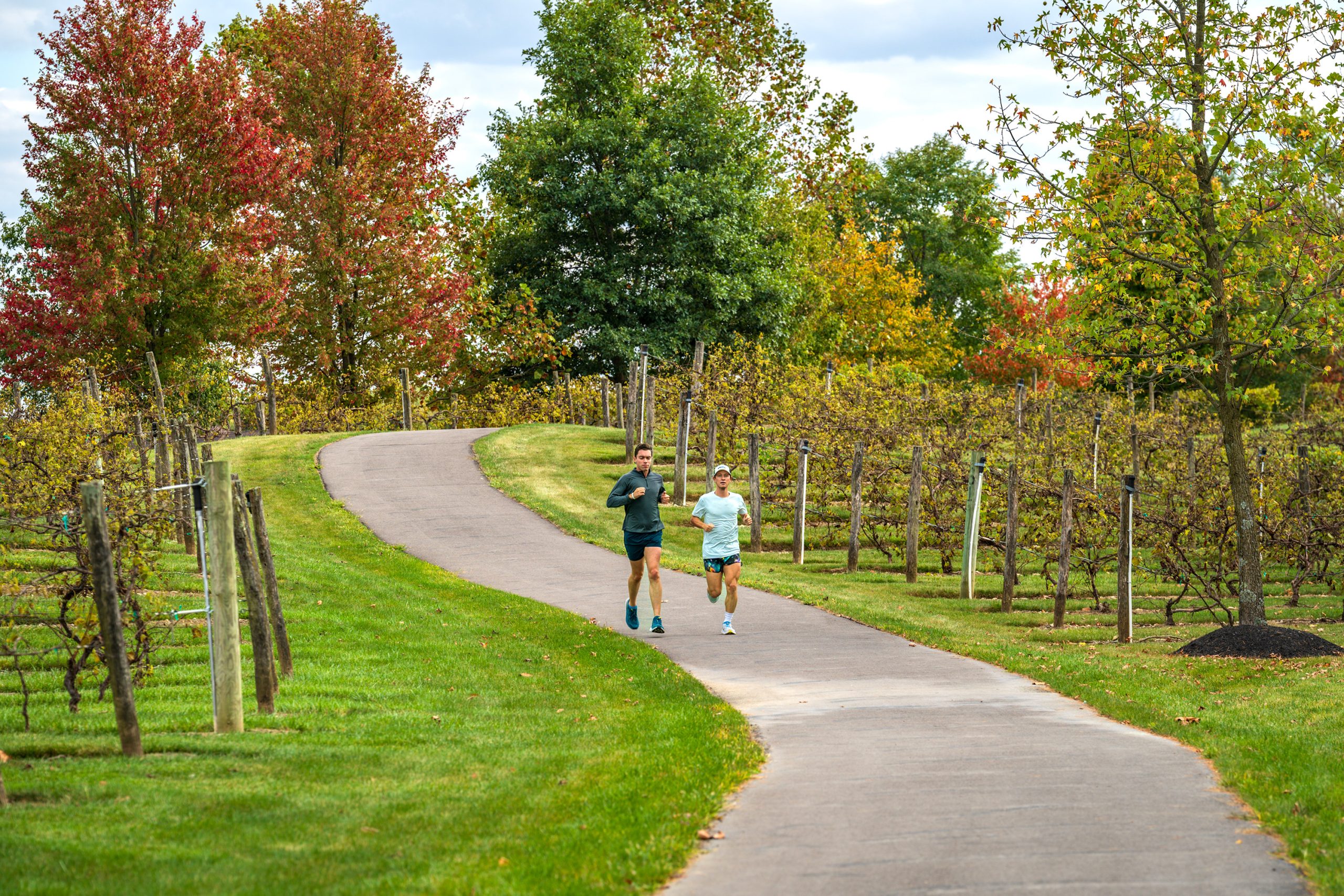 Joggers run by Tartan West vineyard