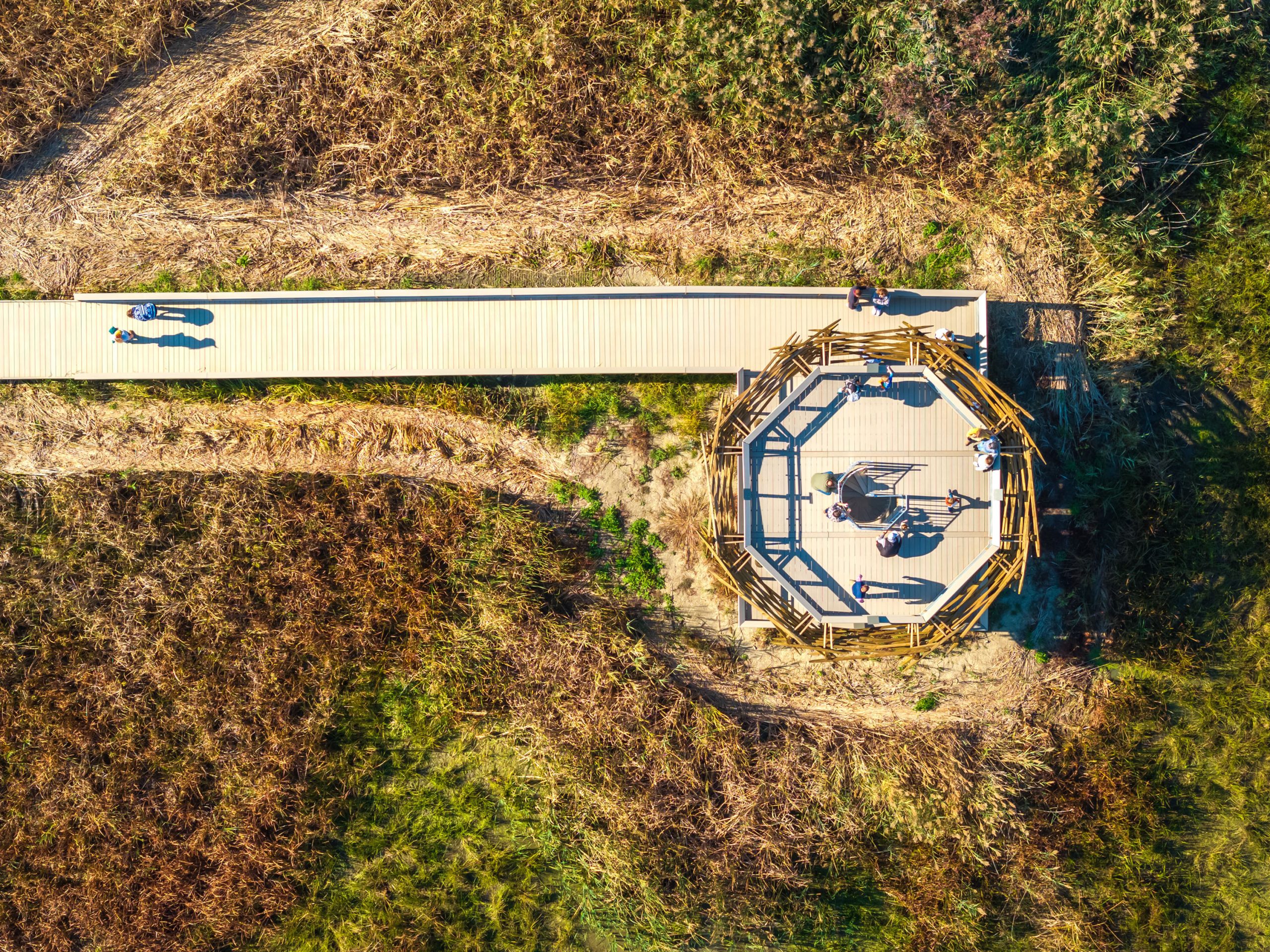ODNR Maumee Bay Boardwalk
