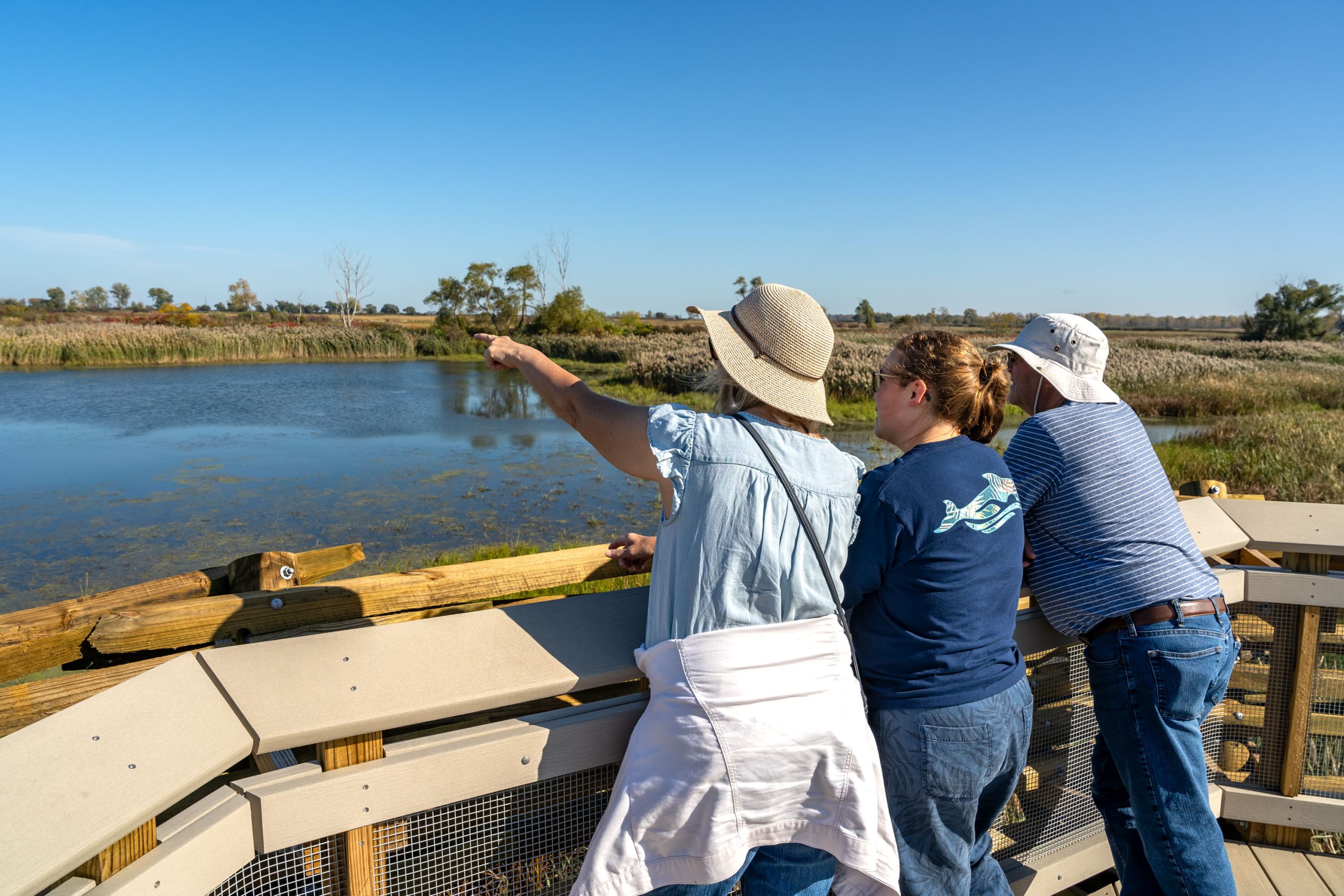 ODNR Maumee Bay Boardwalk