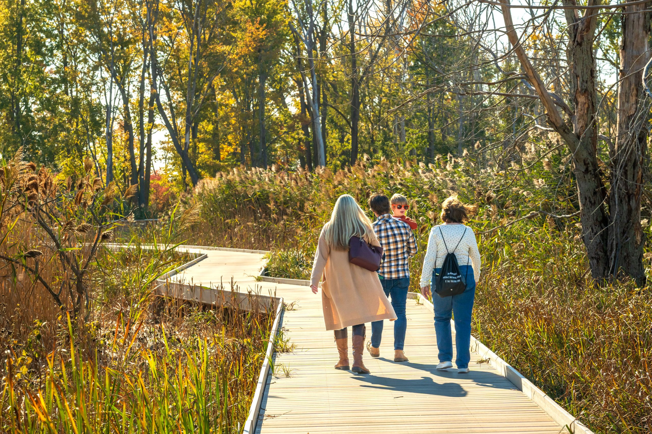 ODNR Maumee Bay Boardwalk
