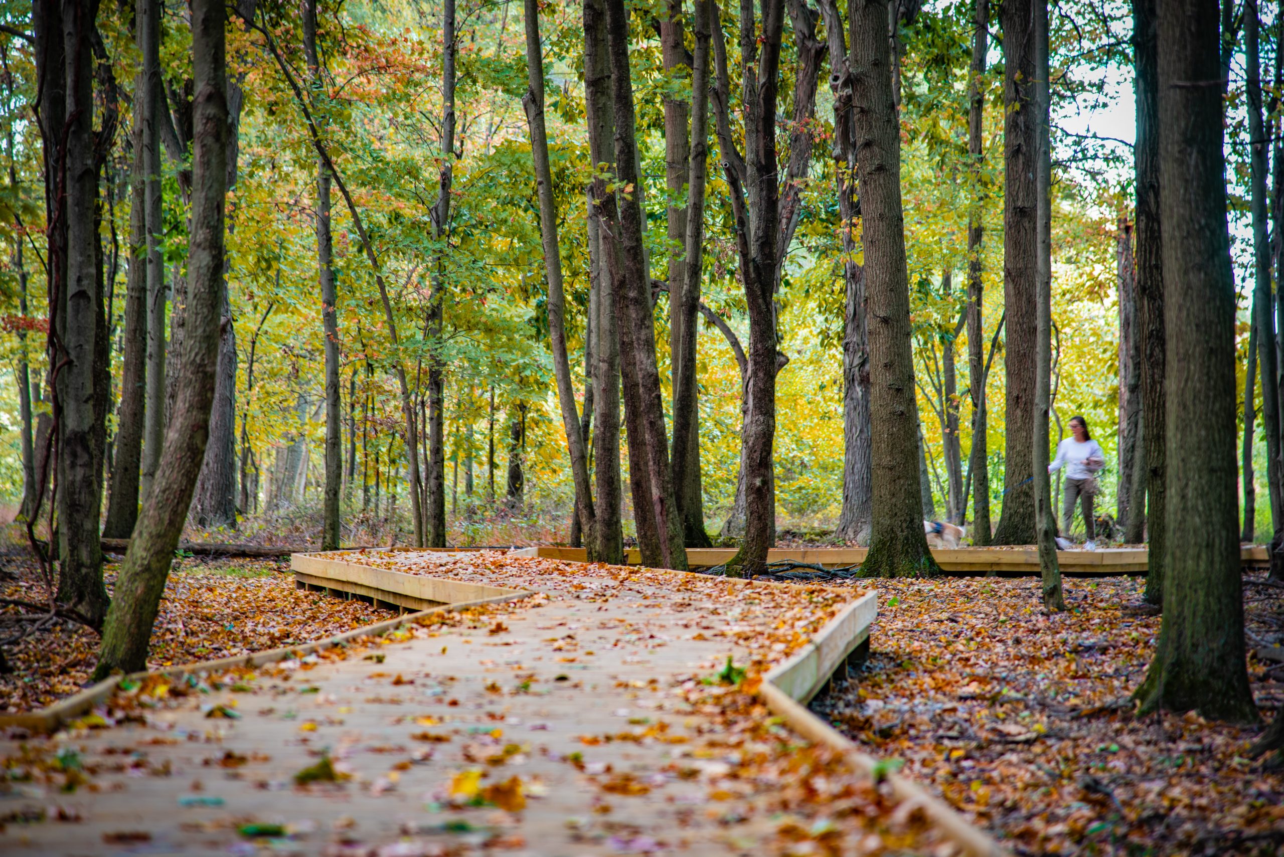 Columbus Recreation & Parks Warner Woods Park Trail Boardwalk